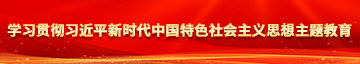 啊操我嗯啊学习贯彻习近平新时代中国特色社会主义思想主题教育